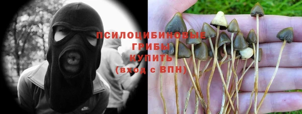 мдпв Краснотурьинск