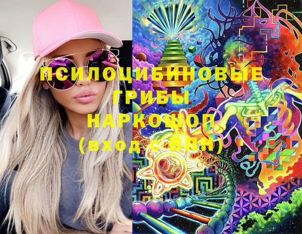 мдпв Краснотурьинск