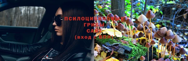 мдпв Краснотурьинск