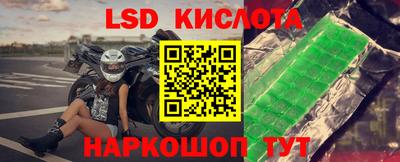 гидра Кингисепп