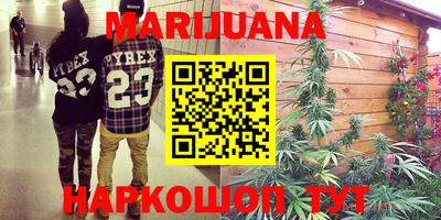 гидра Кингисепп