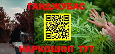 гидра Кингисепп
