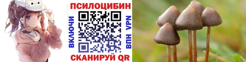omg ССЫЛКА  Костомукша  Псилоцибиновые грибы ЛСД  где продают  