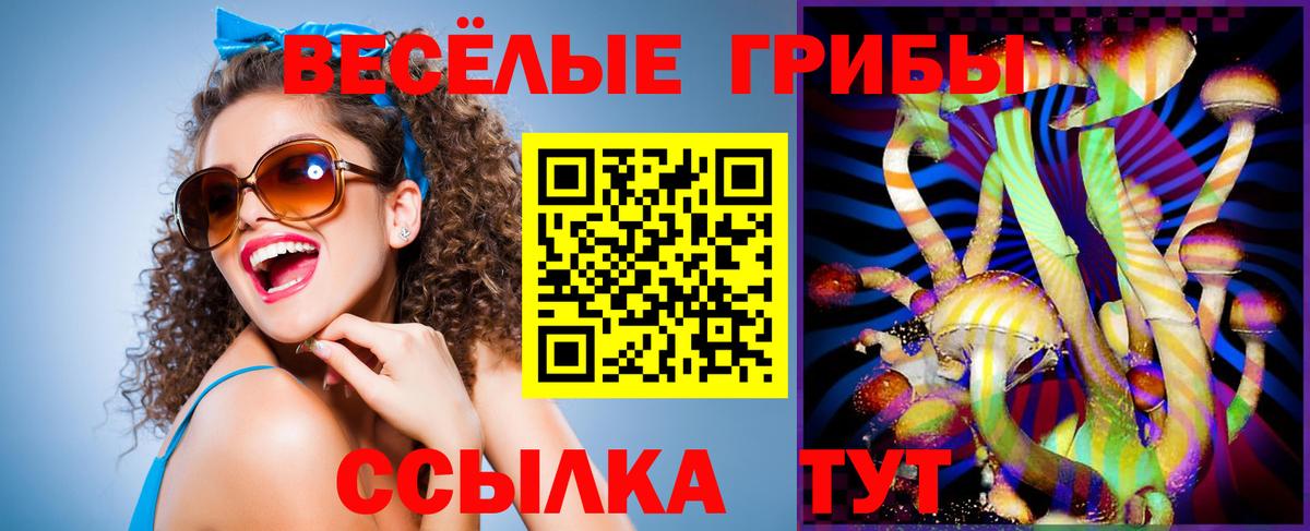 Костомукша  Псилоцибиновые грибы прущие грибы  купить  цена  Вход с VPN 