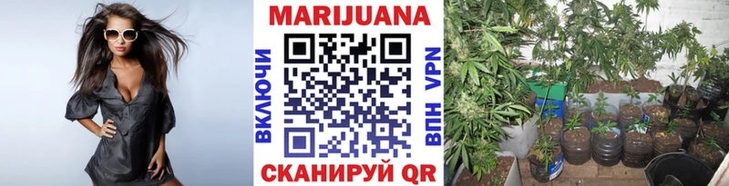 Шишки марихуана гибрид  купить закладку  Костомукша 